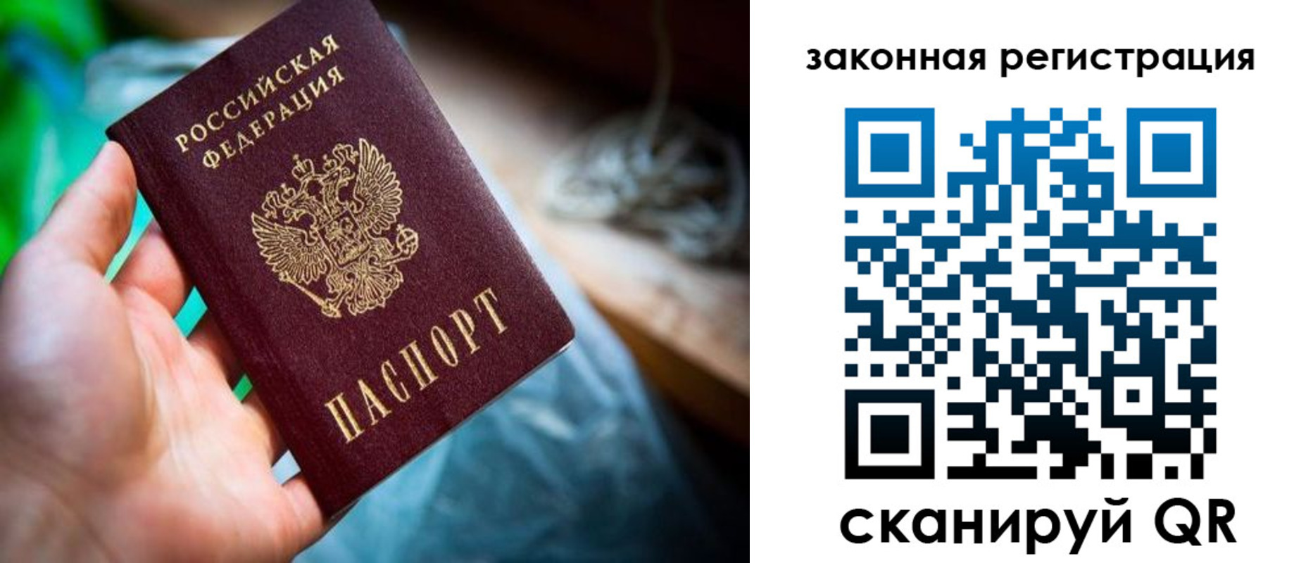 прописка в Тосно